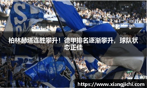 欧陆娱乐